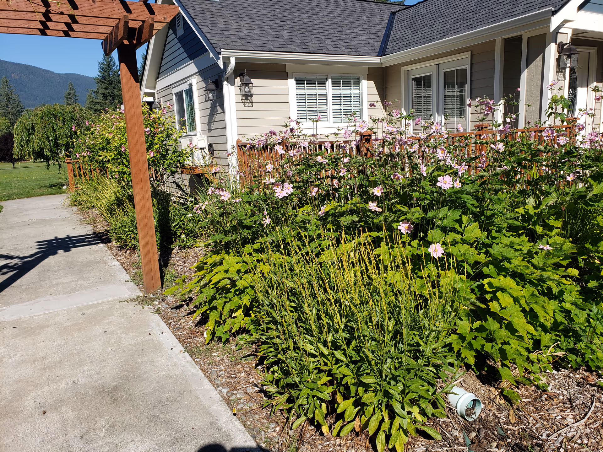 Exterior view of Snoqualmie Valley Senior Care with a flowering garden and walkway.