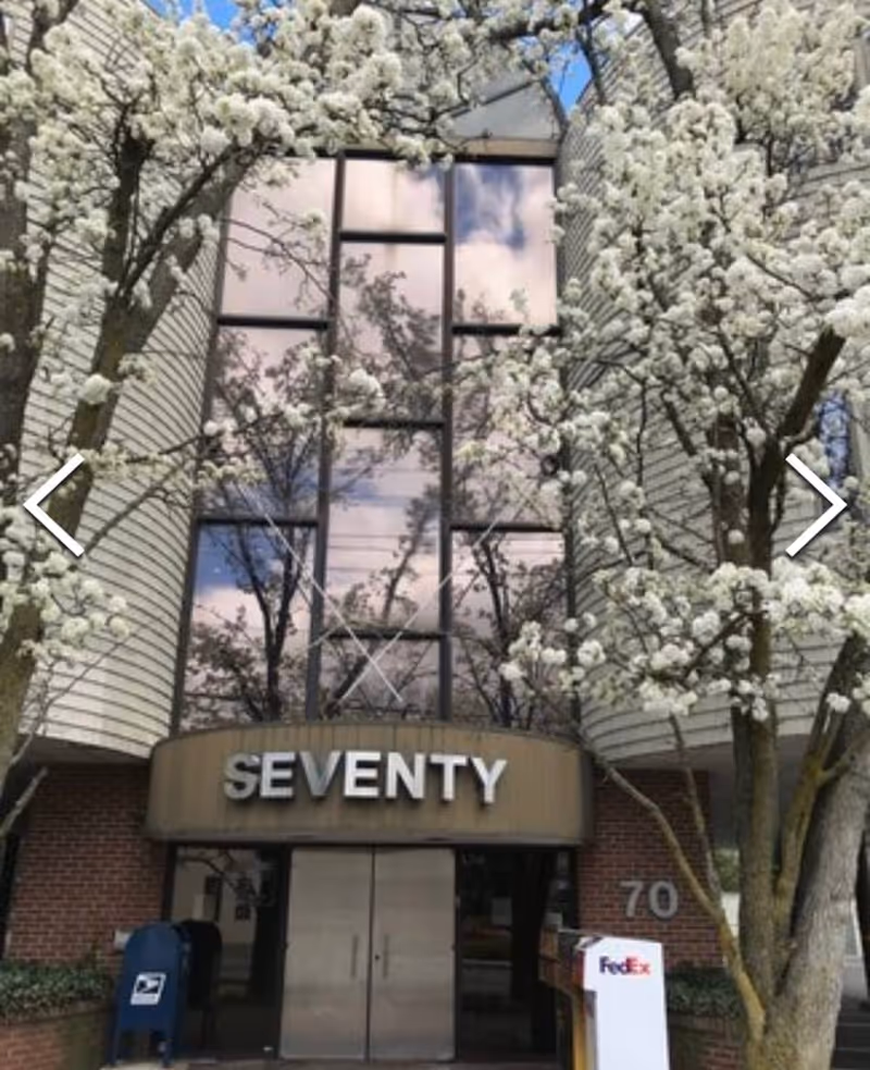 Exterior view of a building entrance framed by blossoming trees and large windows.