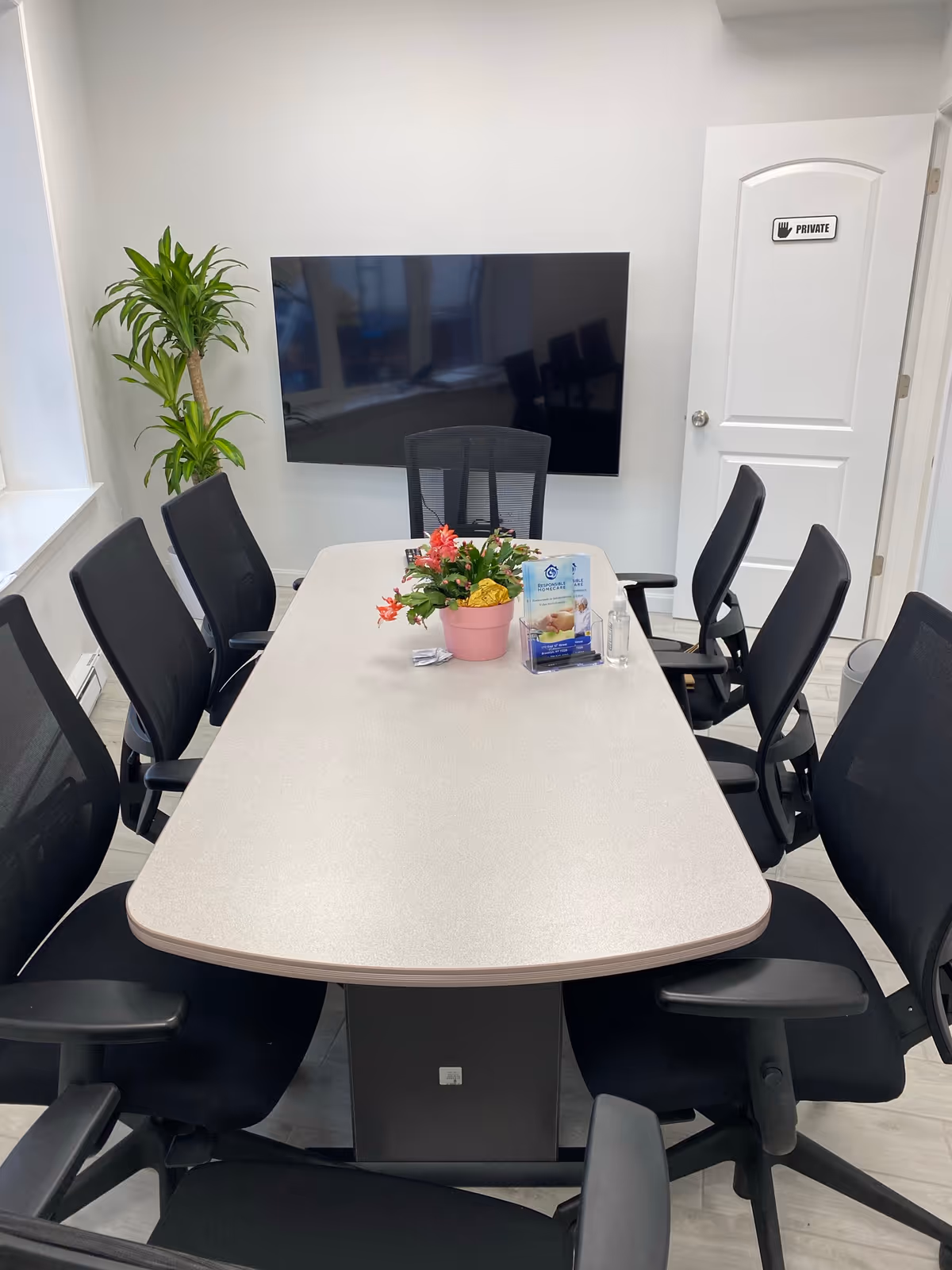 An interior conference room with a long table, black chairs, plant, and wall-mounted TV.
