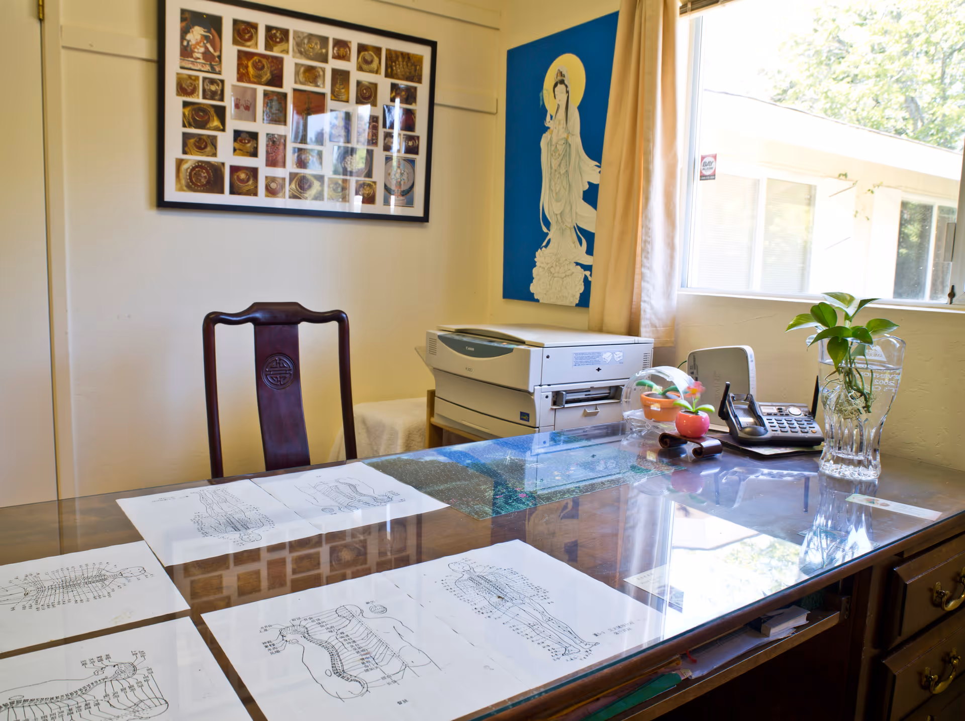 Office desk with printer, phone, plant, and anatomy drawings on glass-top workspace.