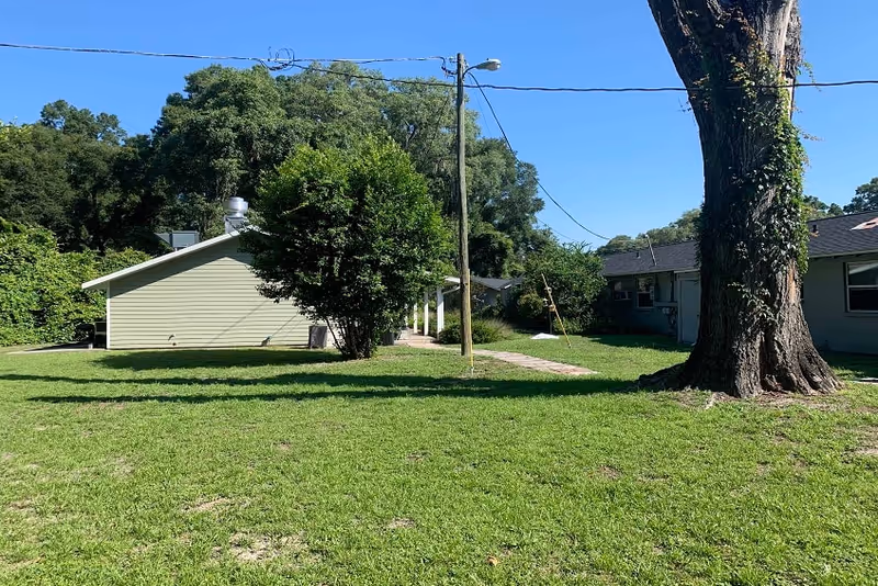 A grassy outdoor area with a large tree on the right and a smaller tree near the center. There are two single-story buildings with light-colored siding and dark roofs in the background. A utility pole with wires is visible in the middle of the image under a clear blue sky.
