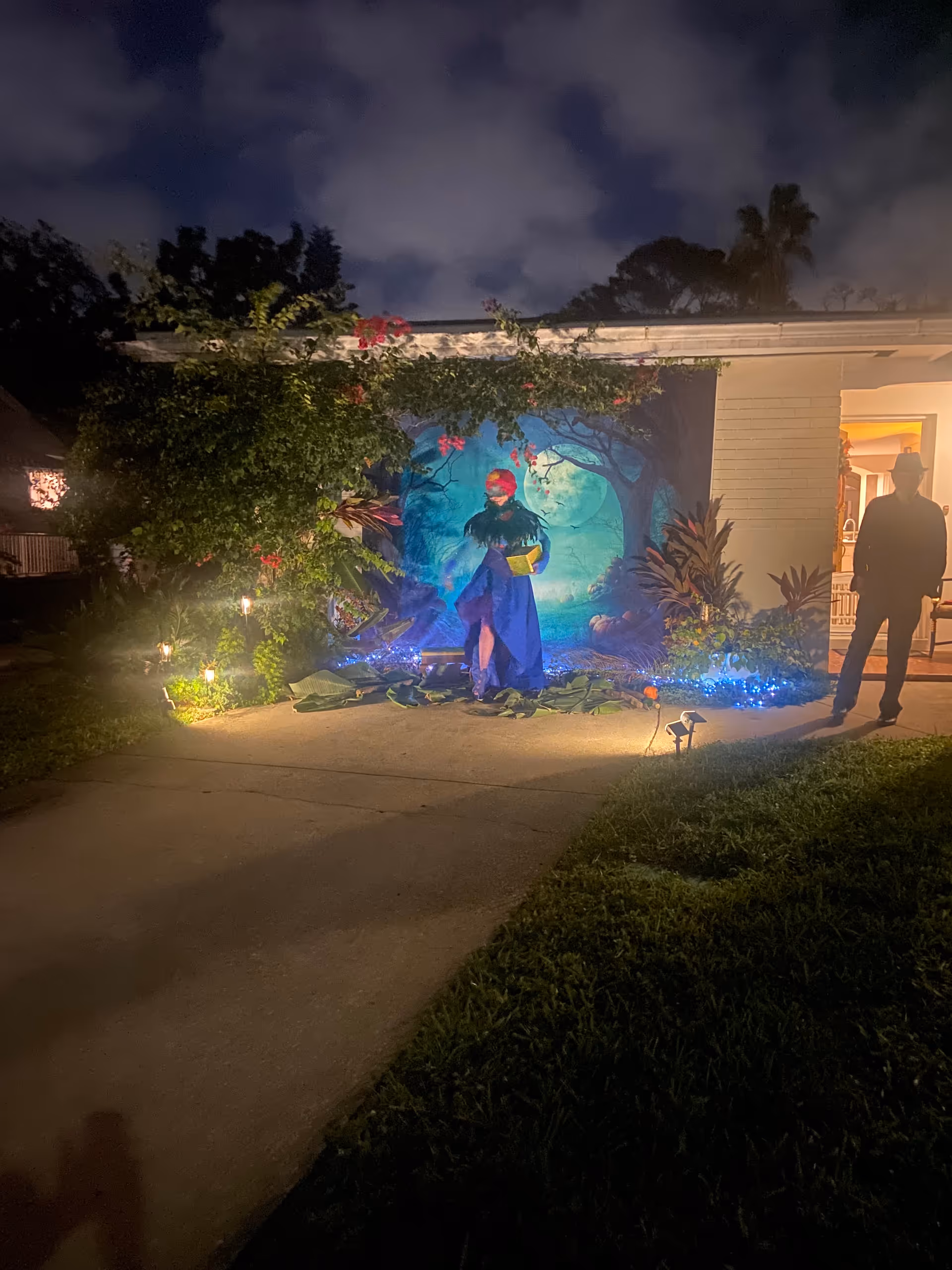 Night exterior of a facility with a mural, plants, and a person near the entrance.
