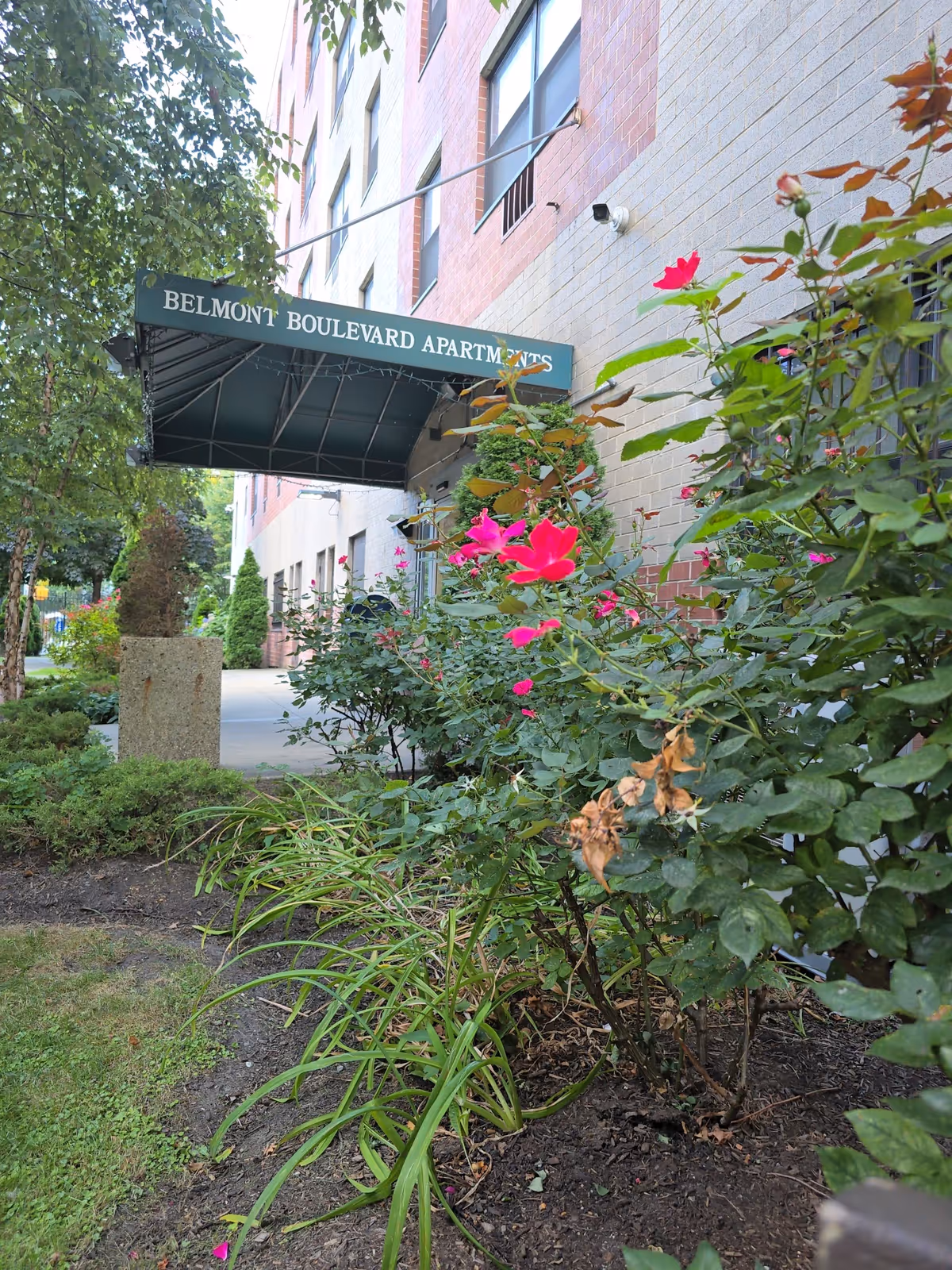 Front entrance of Belmont Boulevard Apartments with green awning and blooming flowers along walkway.