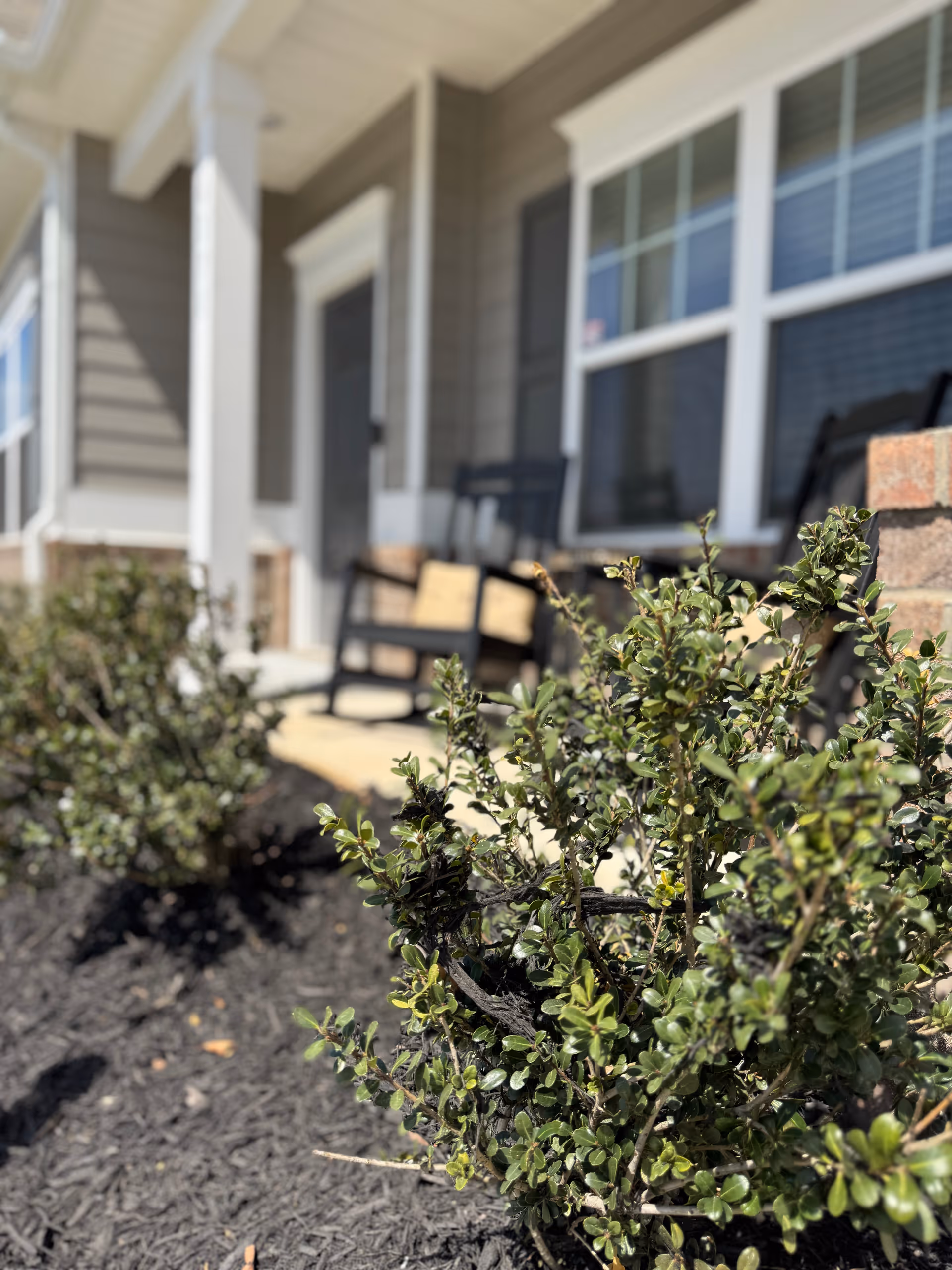 Front porch of Elm Meadows Senior Living with chairs and windows visible.