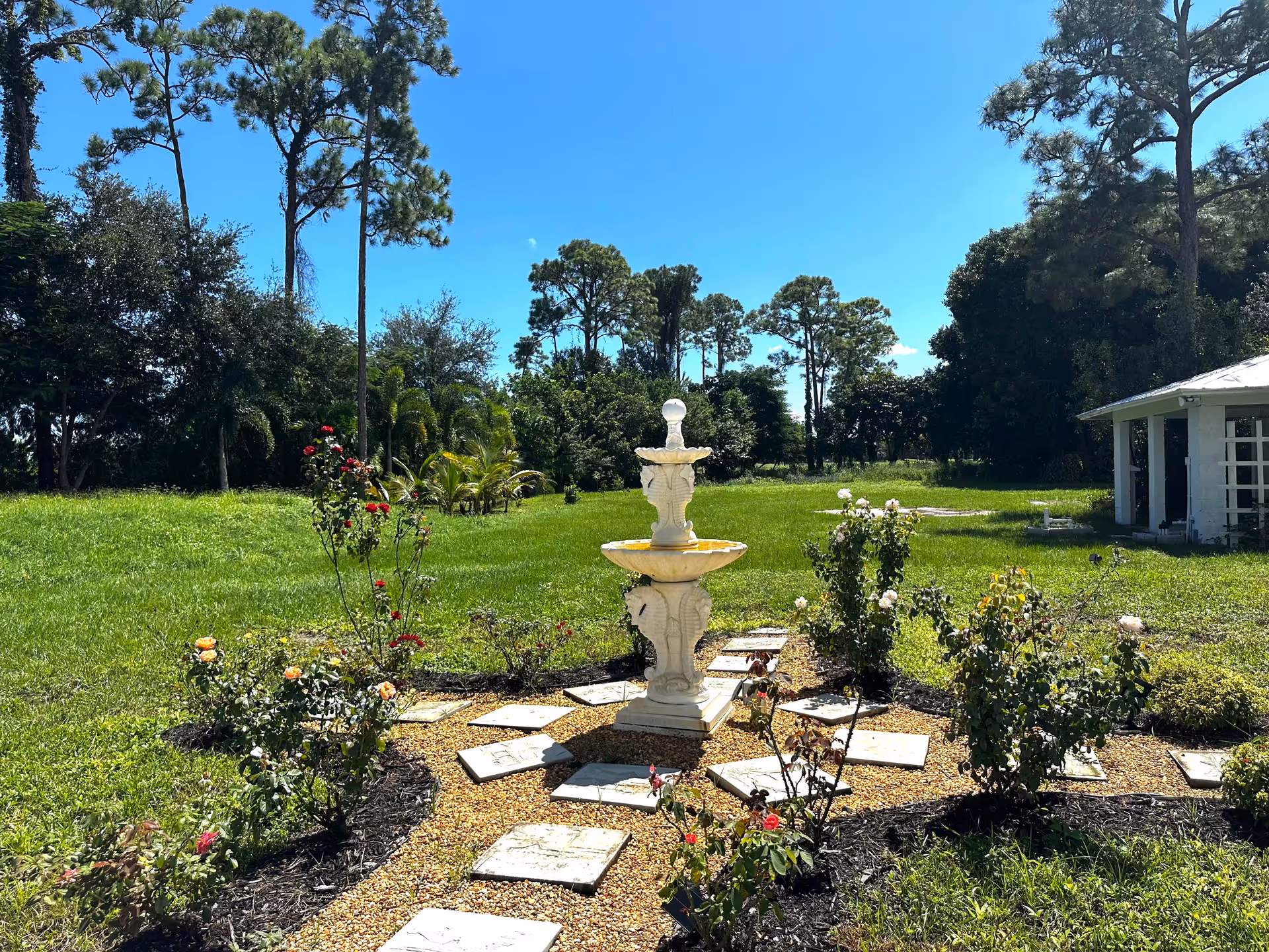 Sunny outdoor garden with a central fountain, rose bushes, and a small white building.