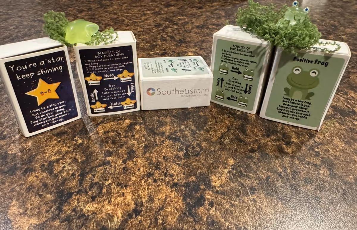 Row of labeled decorative boxes with plant sprigs on a brown countertop.