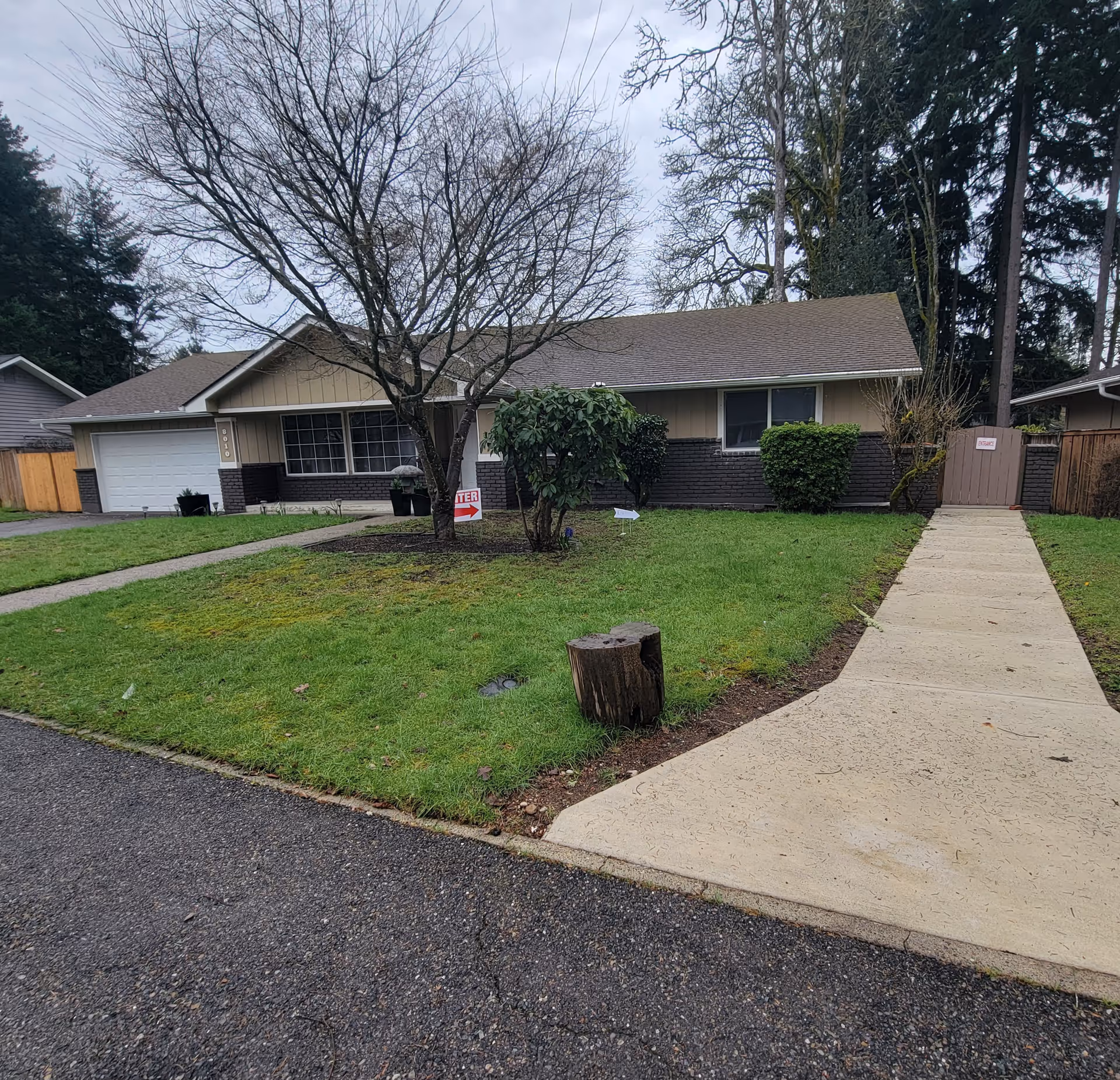 Front yard and single-story house with driveway, walkway, and trees under cloudy sky