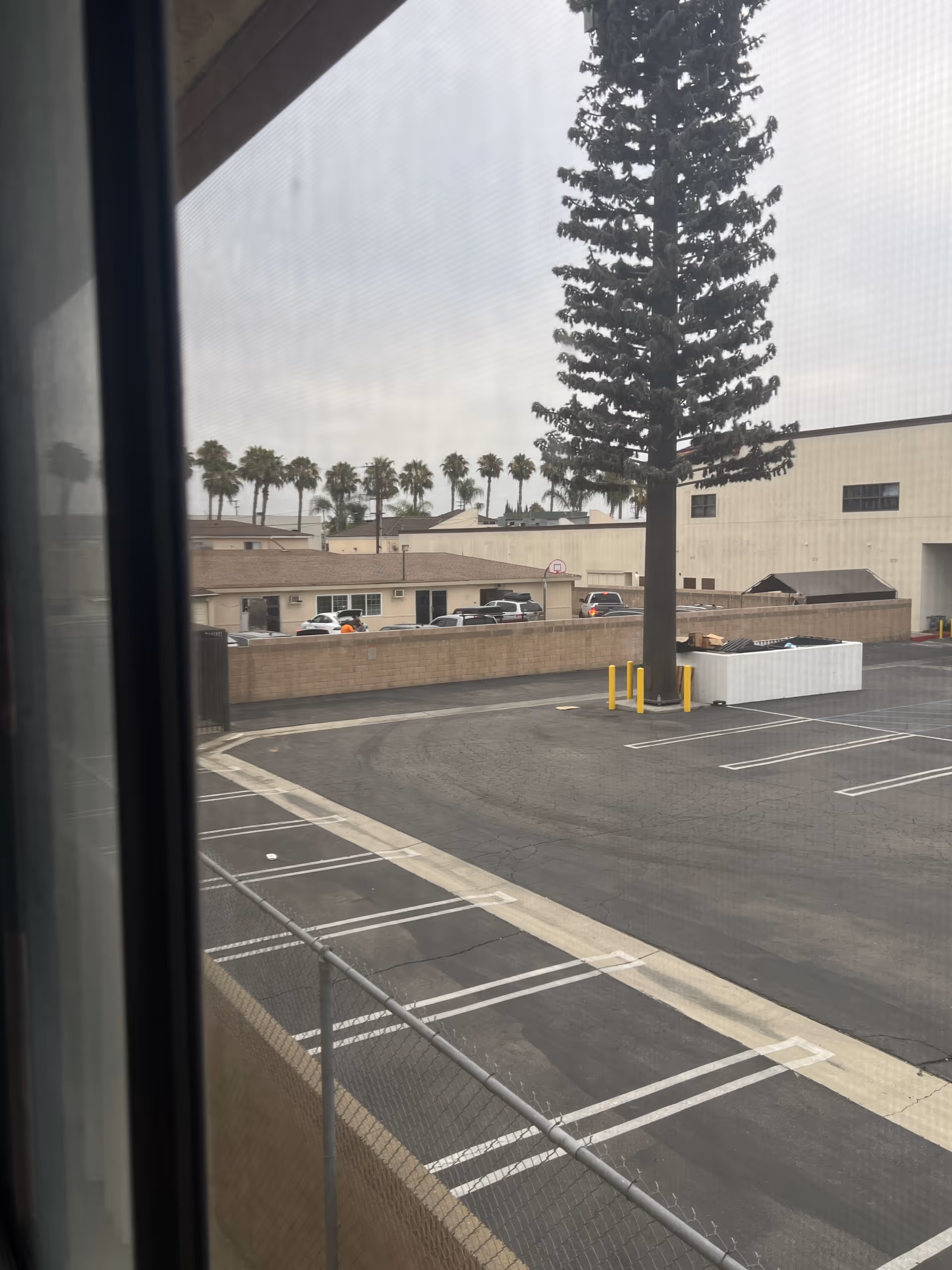 View of a senior facility exterior with a parking lot, trees, and palm trees.