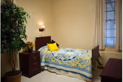 A neatly made single bed with quilt, nightstand, lamp, and potted plant in a bedroom.
