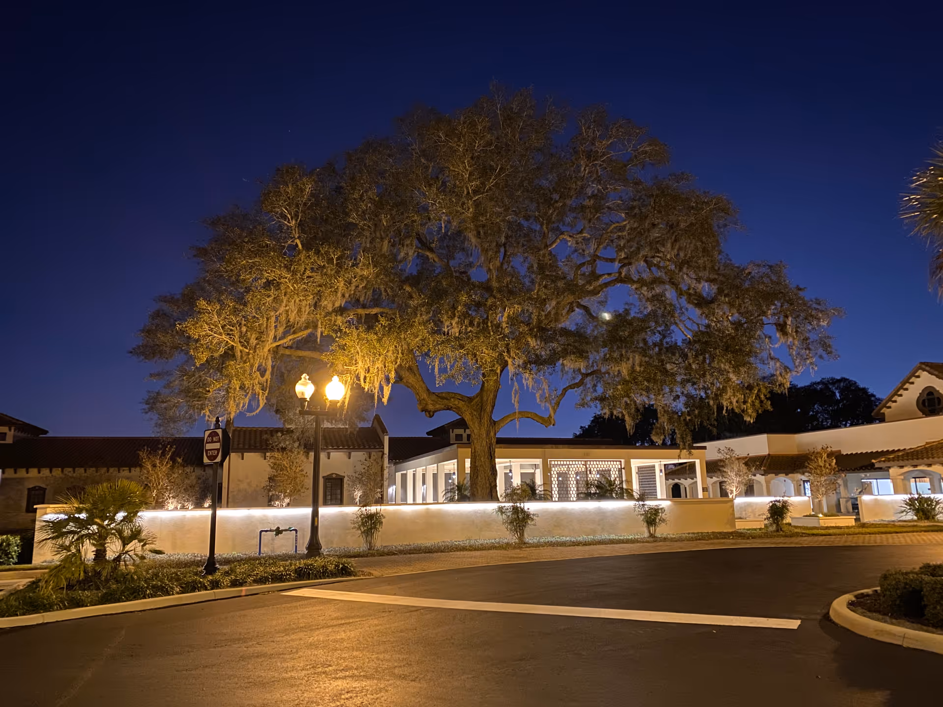 Nighttime exterior view of a hospice facility with a large tree and lit walkway.