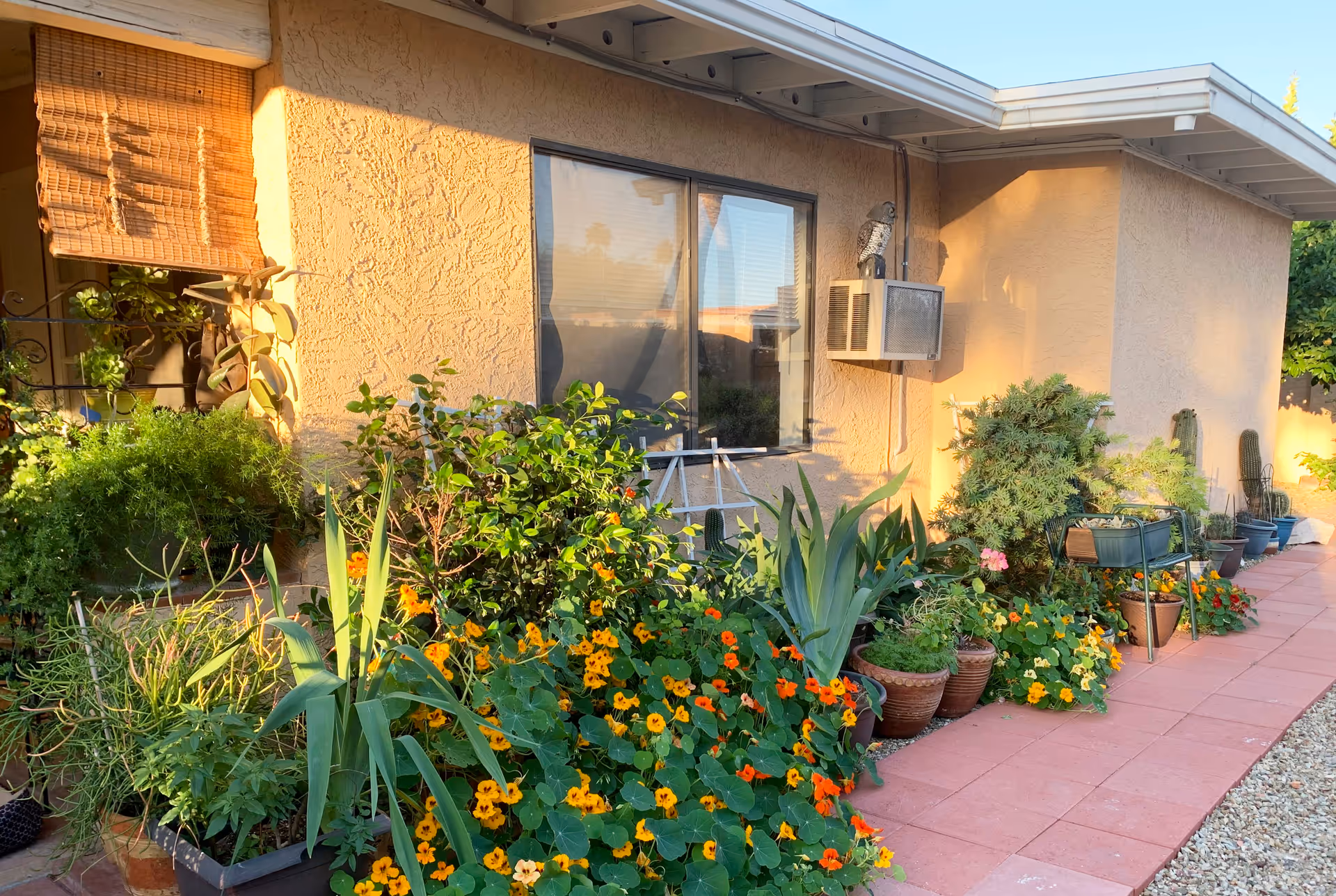 Exterior view of a single-story stucco house with a window air conditioner and a lush potted flower garden along a tiled walkway.