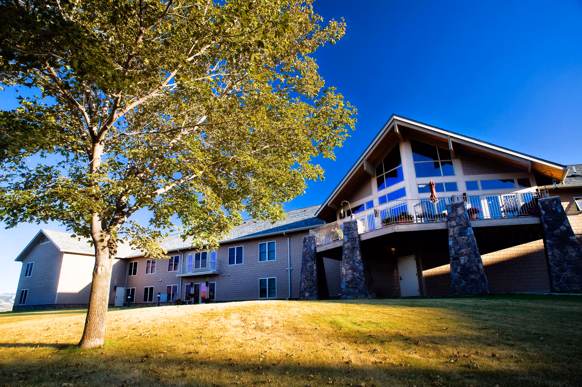 Exterior view of Bozeman Health Hillcrest Senior Living, Aspen Pointe building with a large tree in the foreground, a grassy lawn, and a clear blue sky.