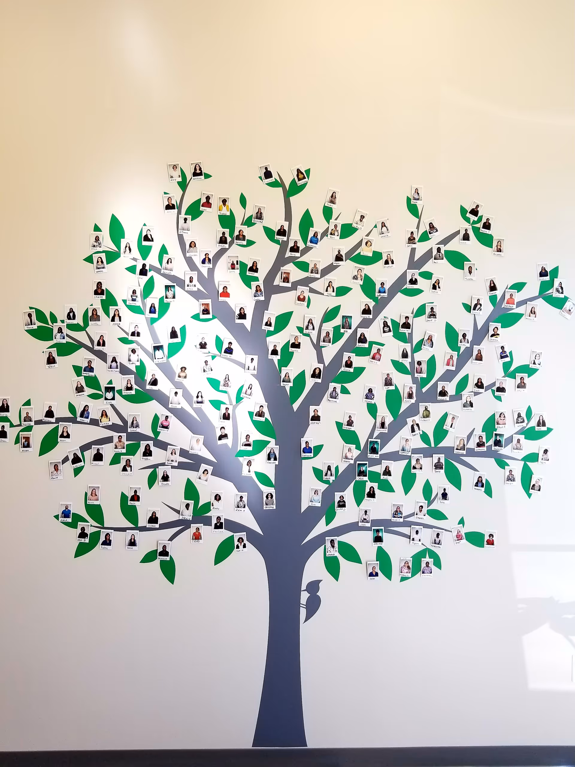 Interior wall mural of a large tree with numerous small photo portraits.