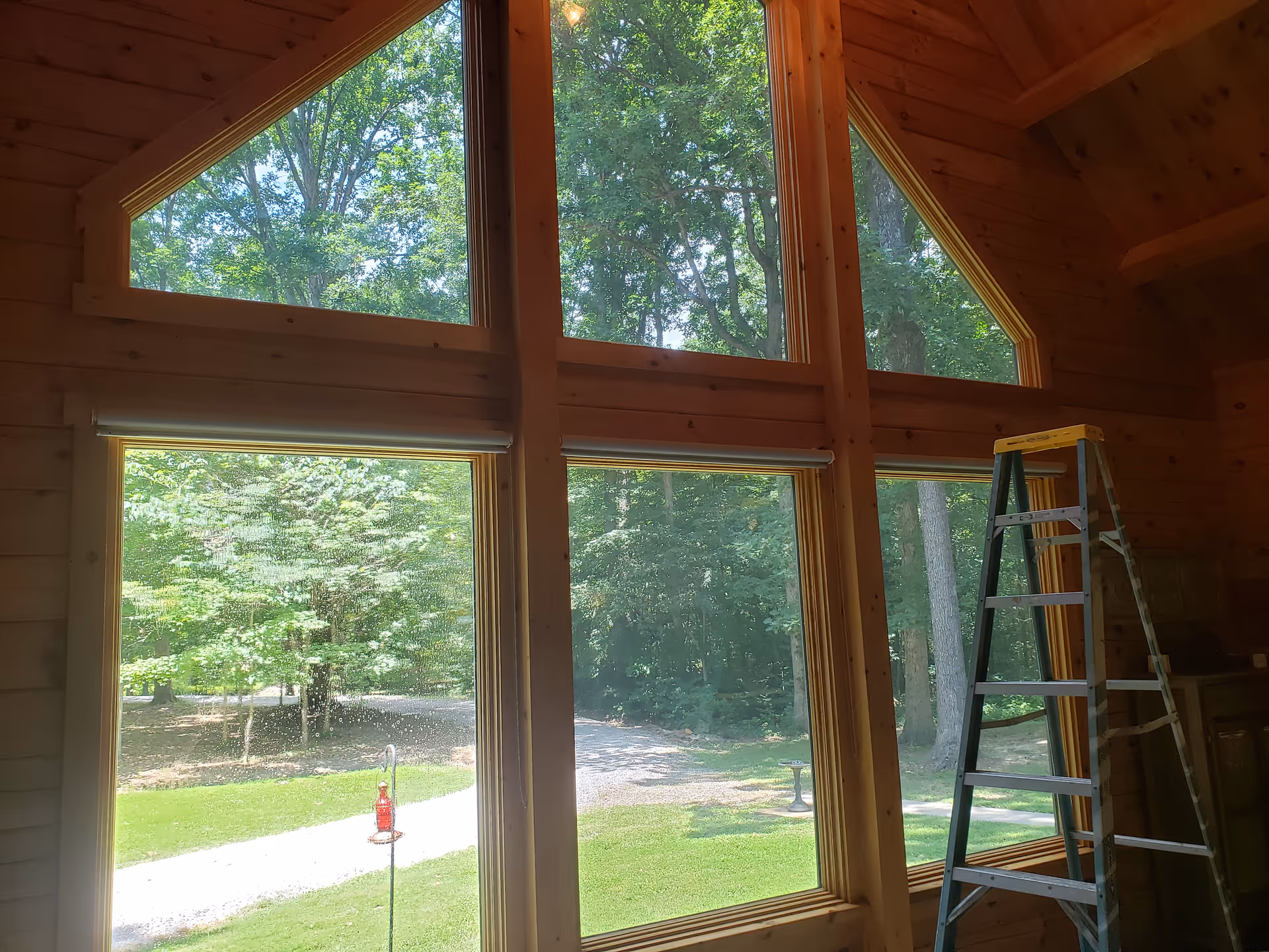 Inside a wooden room, large windows reveal a green outdoor area and a ladder.