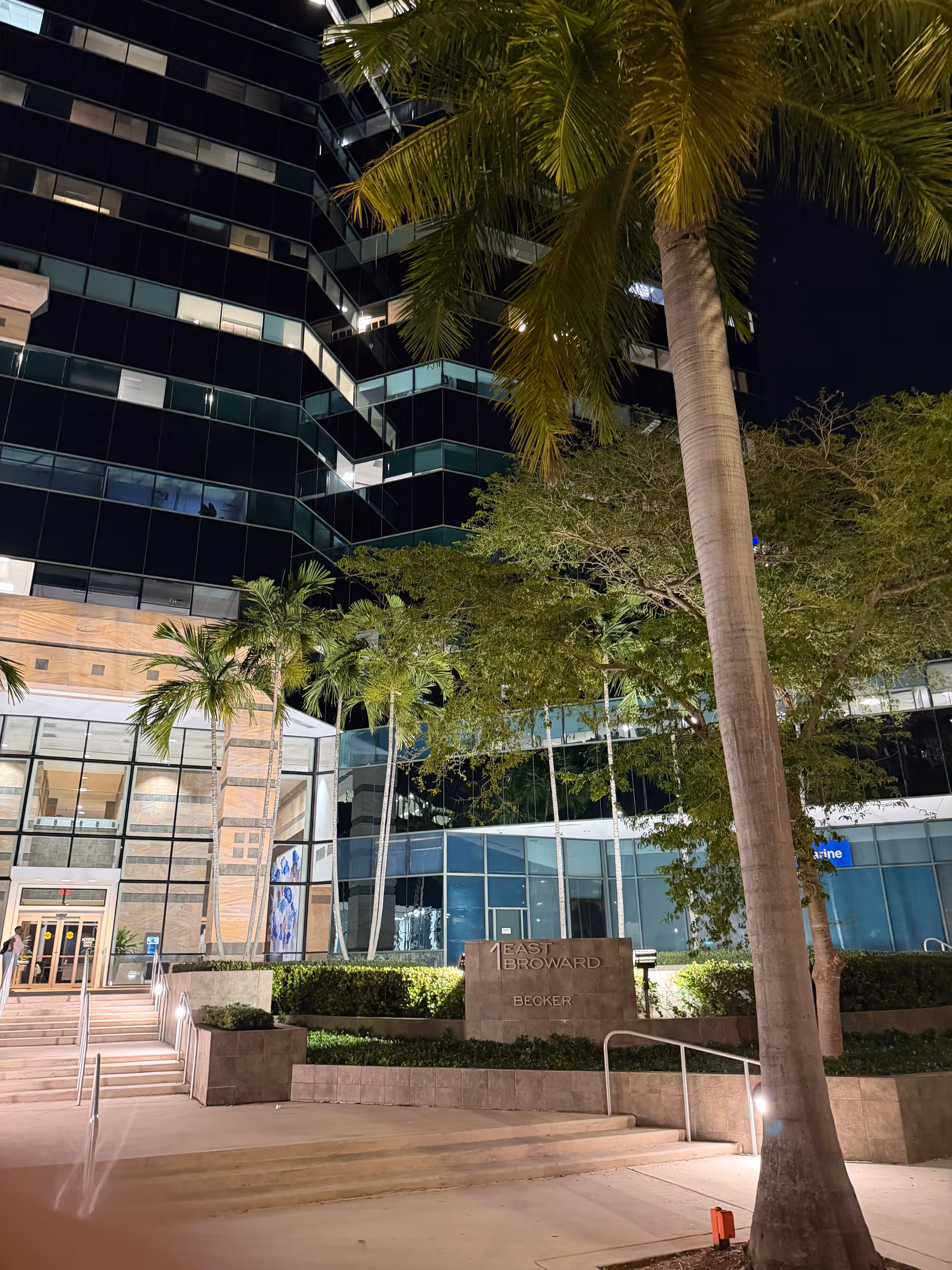 Nighttime exterior of a modern glass building with palm trees and steps.