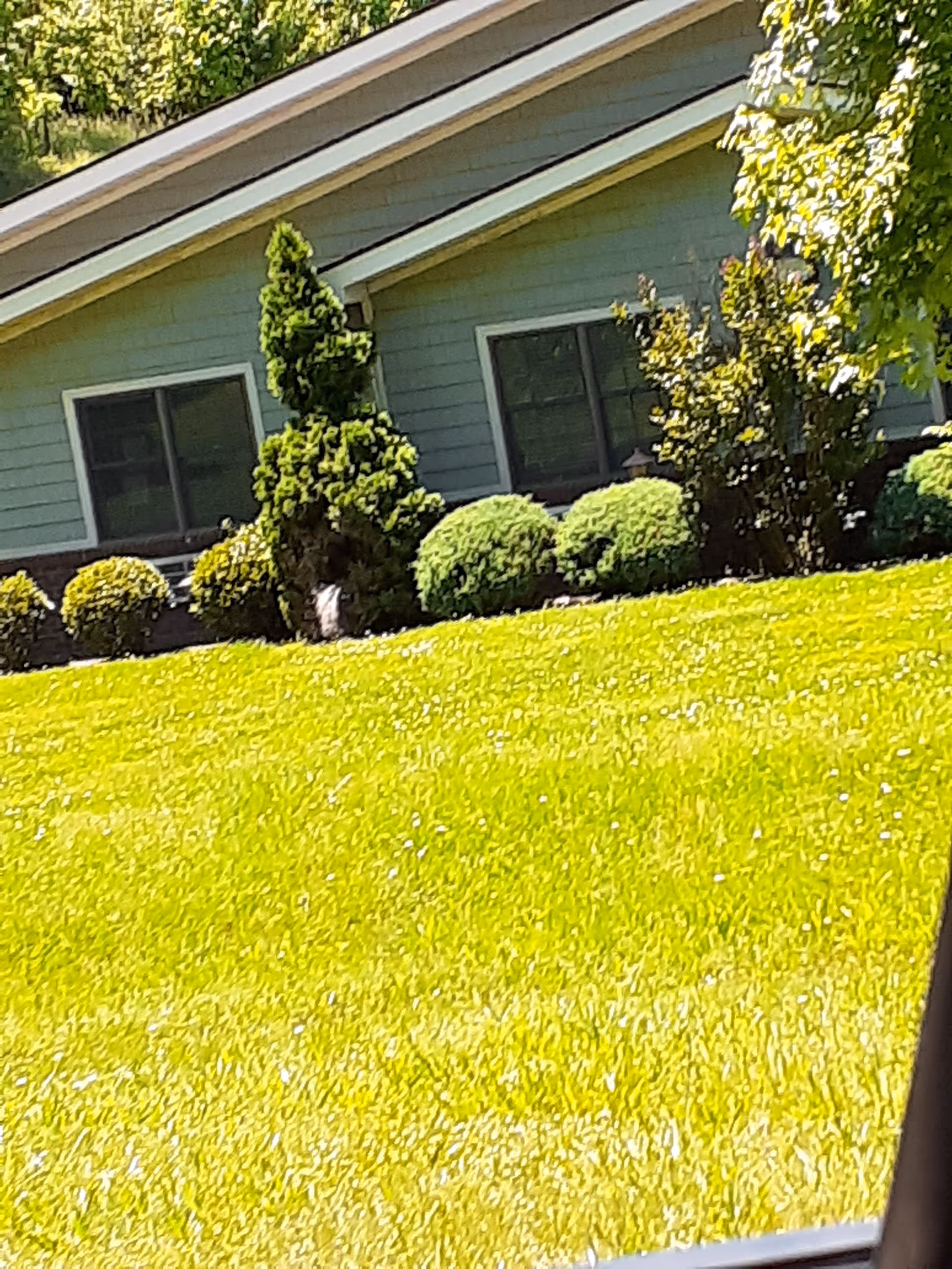 Green lawn, shrubs, and a blue exterior building front with windows.