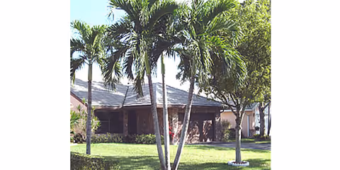 Palm trees frame a single-story building with a green lawn in front.