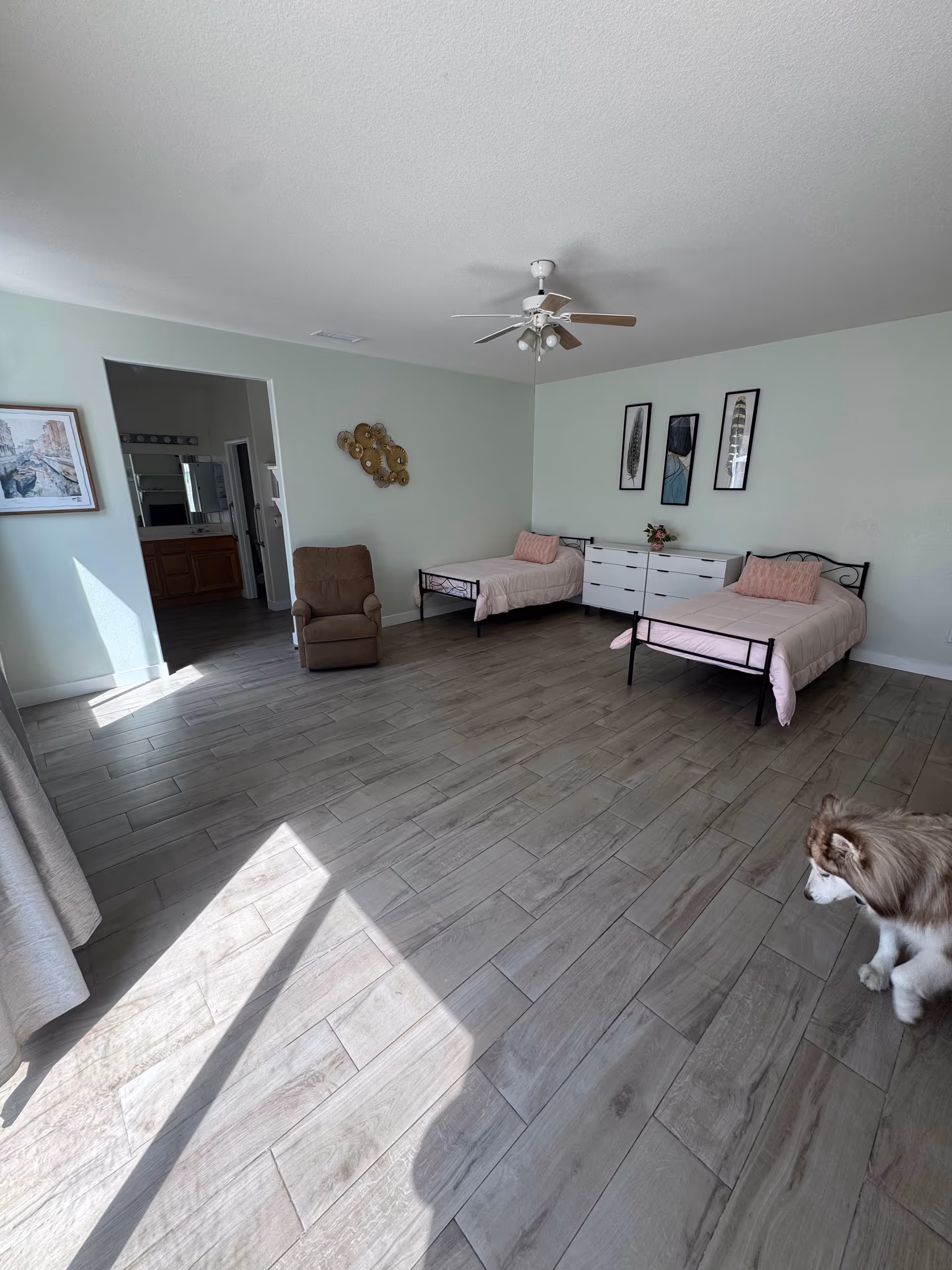 Spacious shared bedroom in a senior facility with two beds, dresser, and a dog.