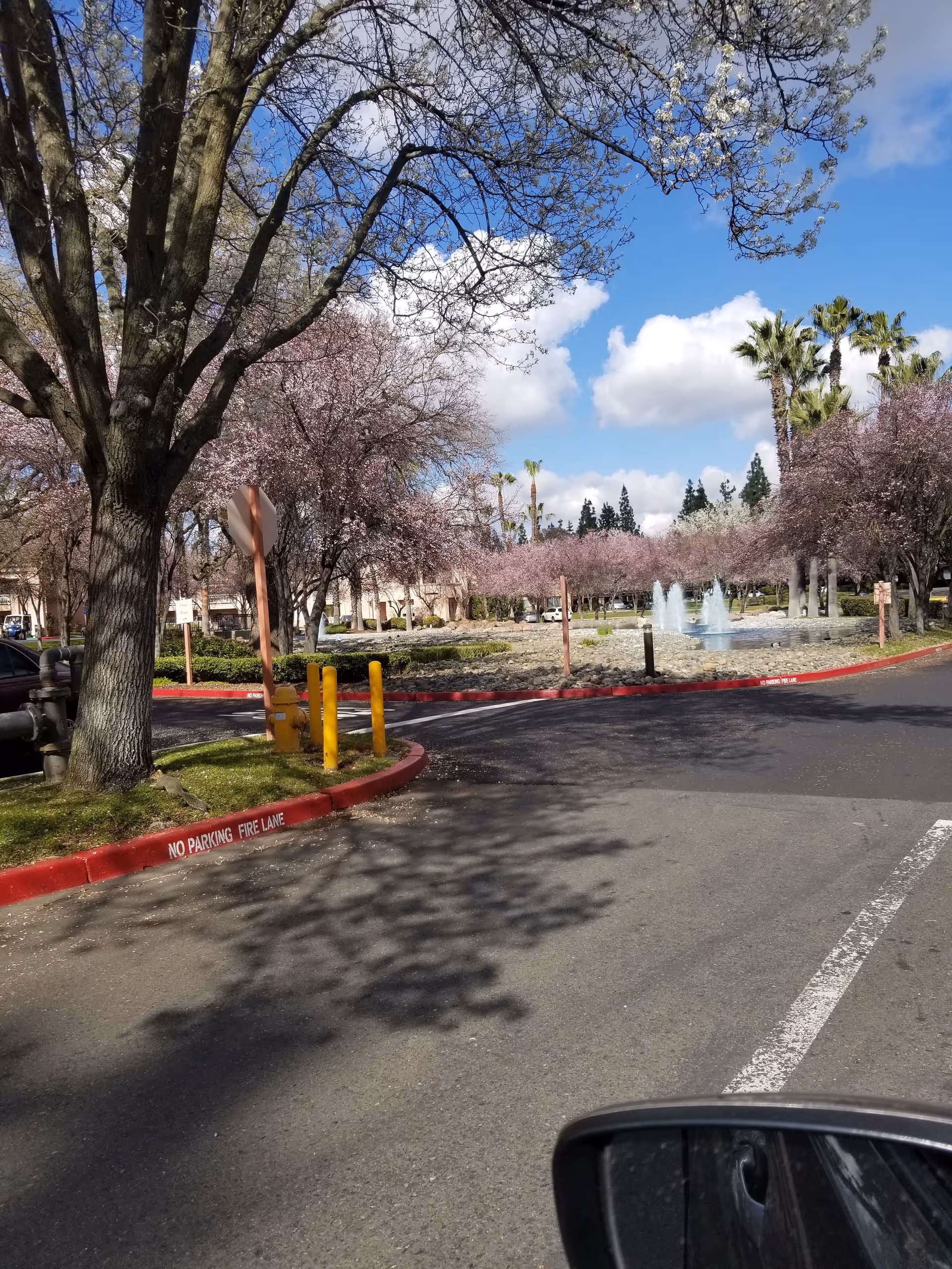 Eskaton Village Carmichael outdoor area with parking, blooming trees, a fountain, and blue sky.