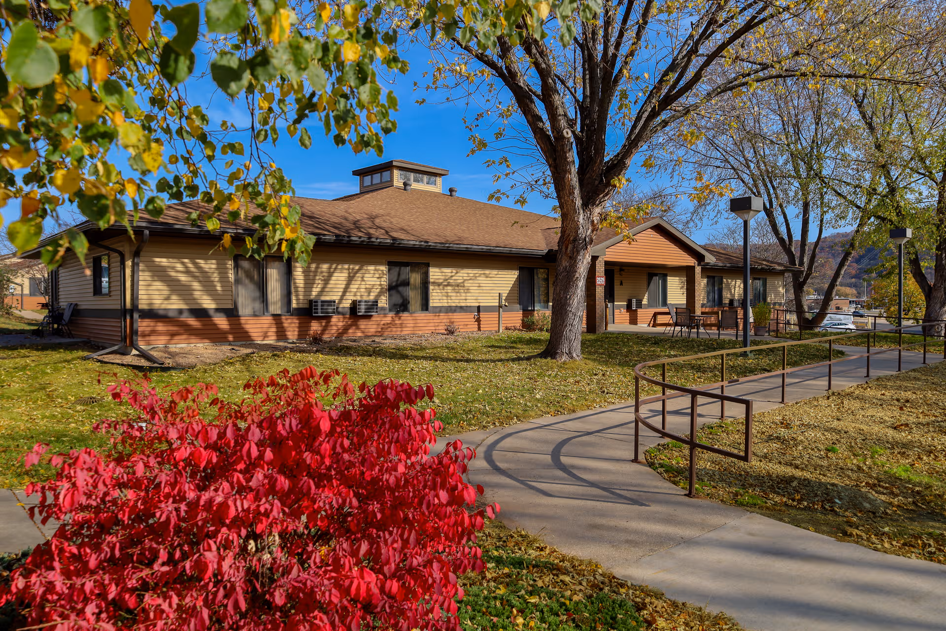 Exterior view of Shelby Terrace building with walkway, trees, and red flowering shrub.