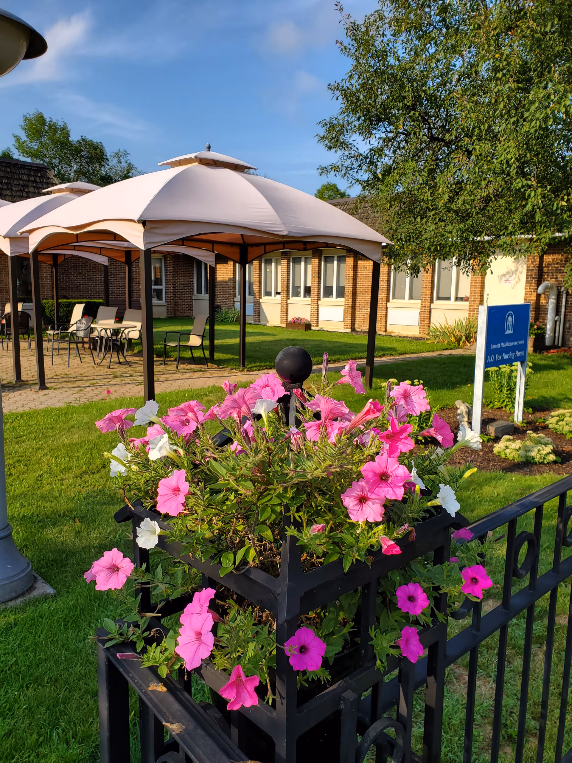 Outdoor courtyard with pink flowers in a planter, umbrellas, and a brick building in background.