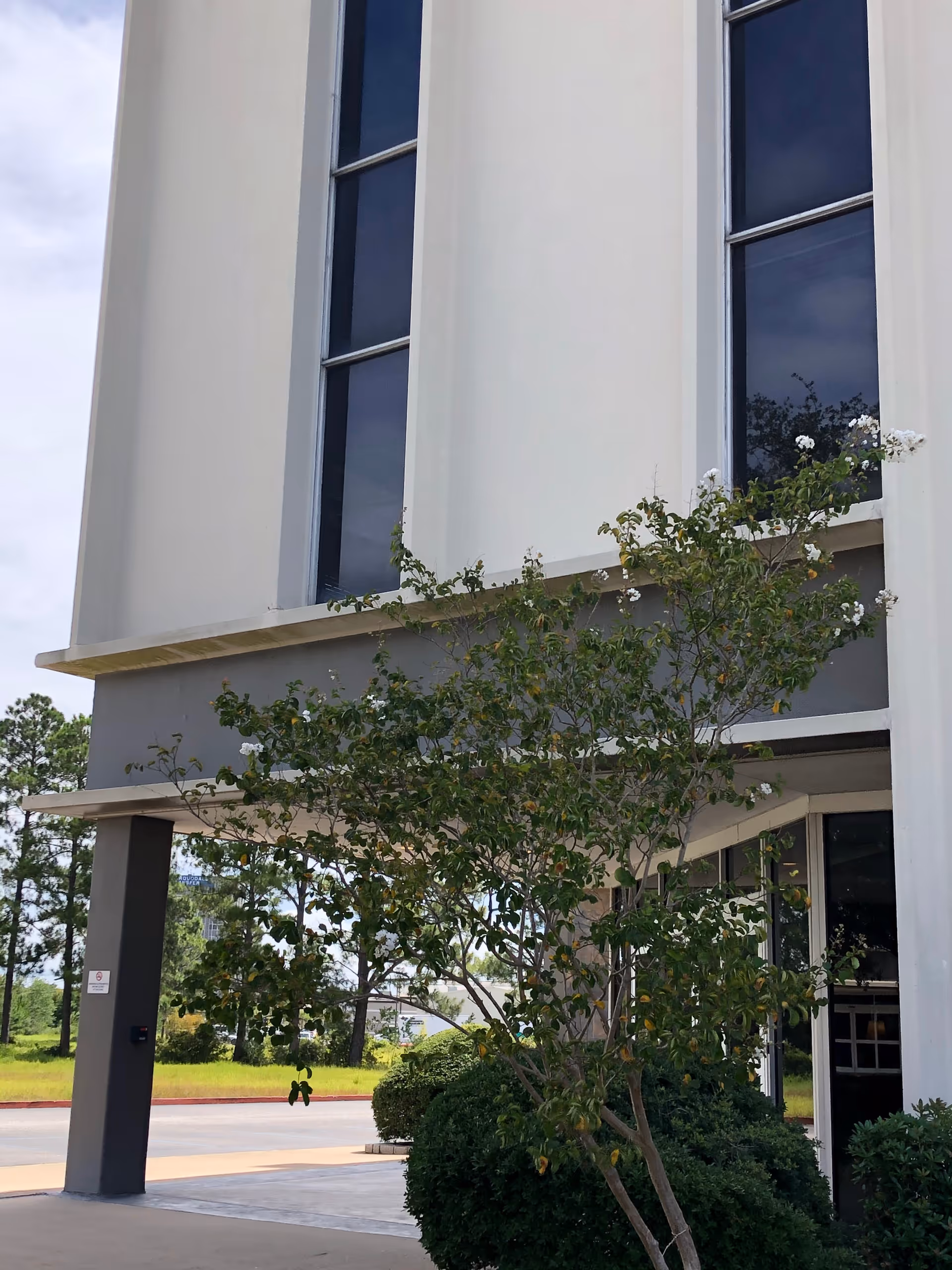 Modern, multi-story building entrance with large windows and greenery.