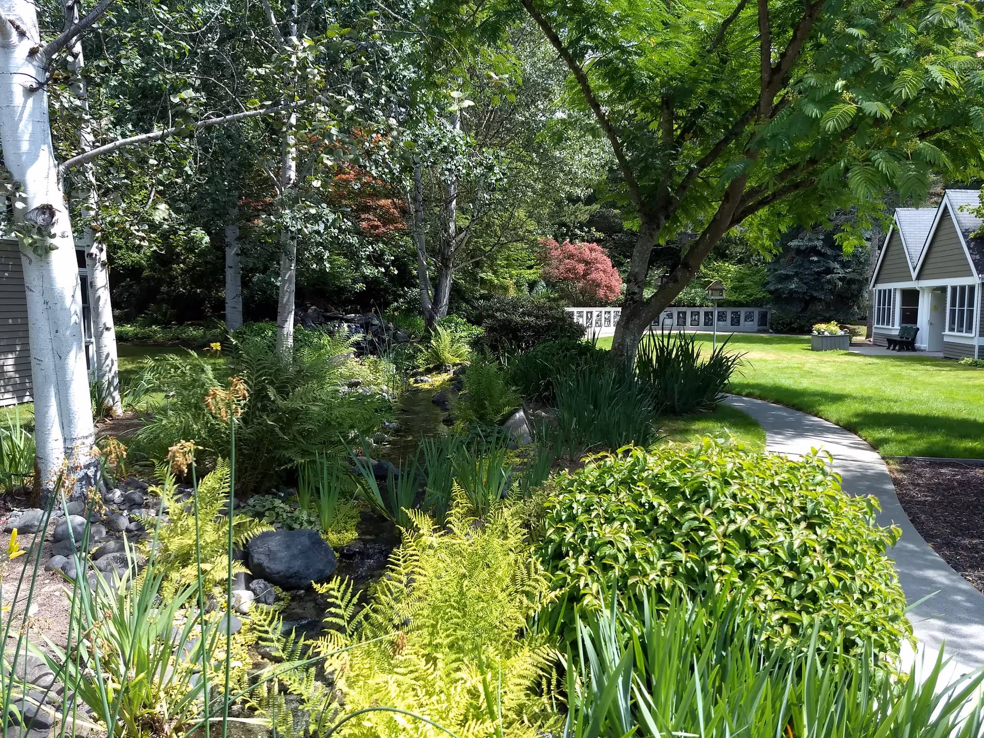Curved concrete path winds through lush garden landscaping next to a building exterior