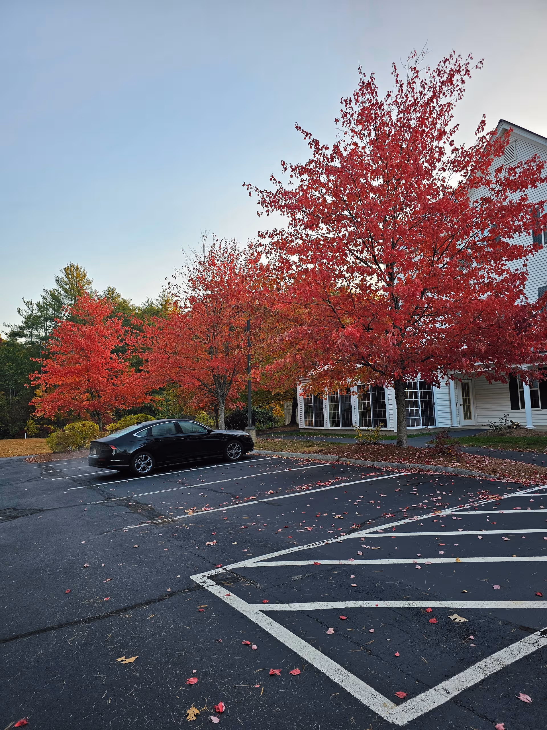 Exterior view of Windham Terrace with red fall trees and a parked car.