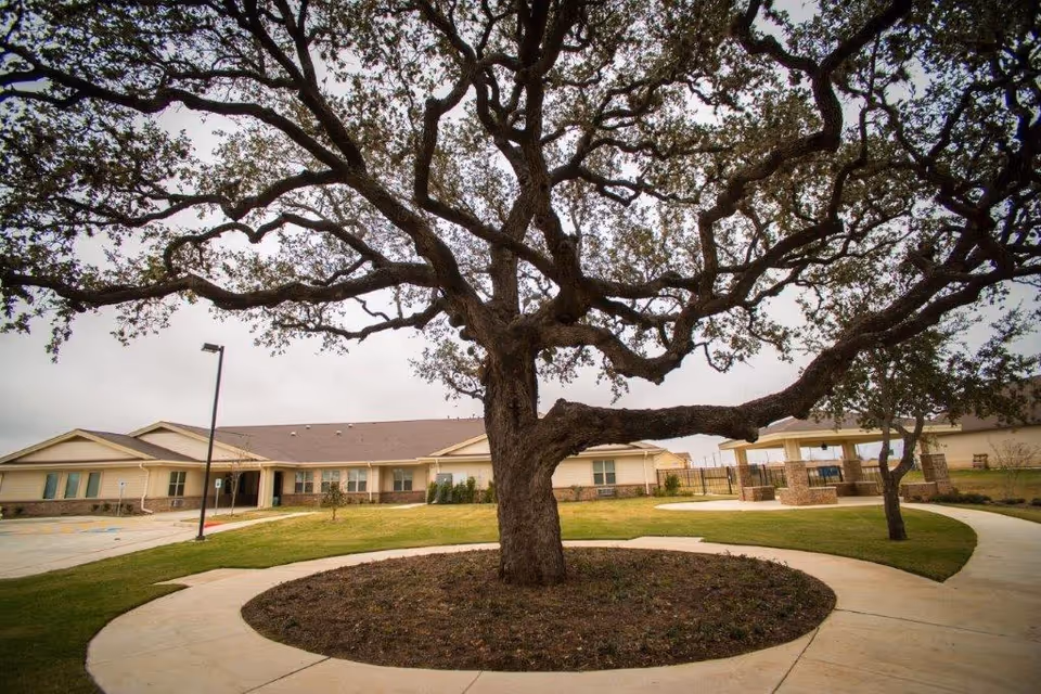 A large tree with sprawling branches stands in the center of a circular landscaped area surrounded by a curved concrete walkway. In the background, there is a single-story building with a beige exterior and a brown roof, along with a covered outdoor seating area supported by stone pillars. The sky is overcast.