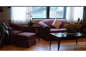 Cozy living room with purple sofas, a coffee table, and sunlit windows.