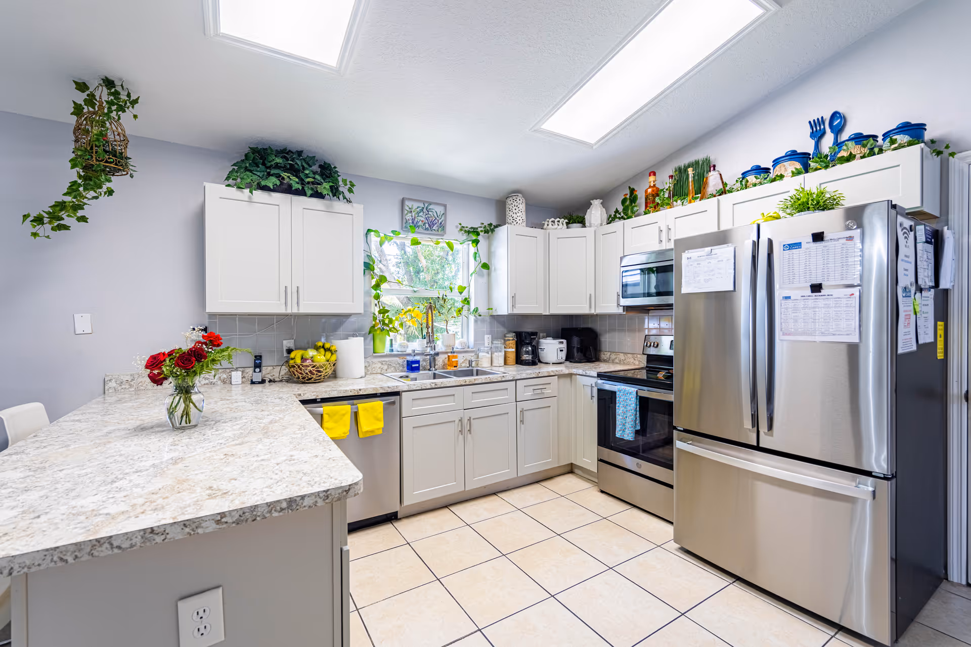 Bright, modern kitchen with white cabinets, stainless appliances, and leafy plants near the window.