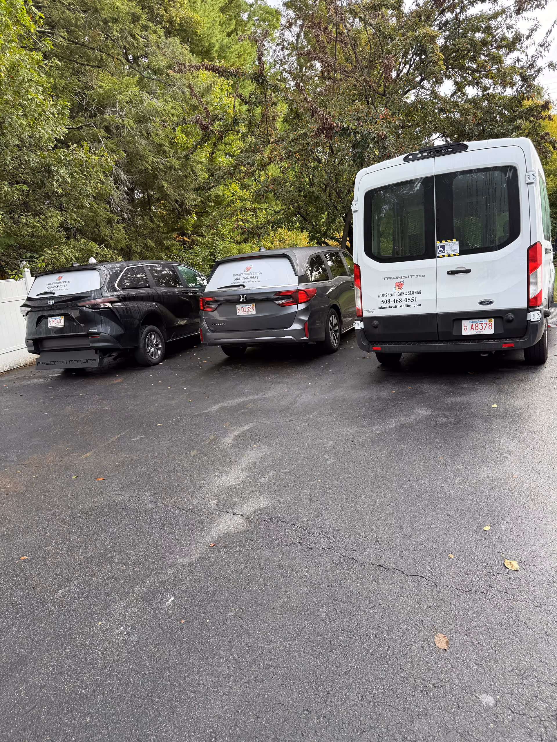 Three Adams Healthcare & Staffing LLC-branded vehicles parked in a tree-lined lot.
