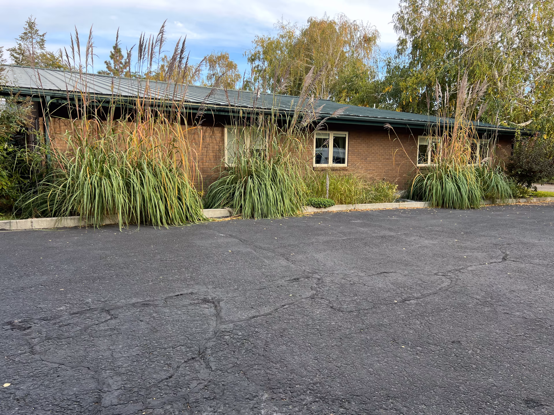 A brick, single-story care center facade with tall grasses and a paved driveway.