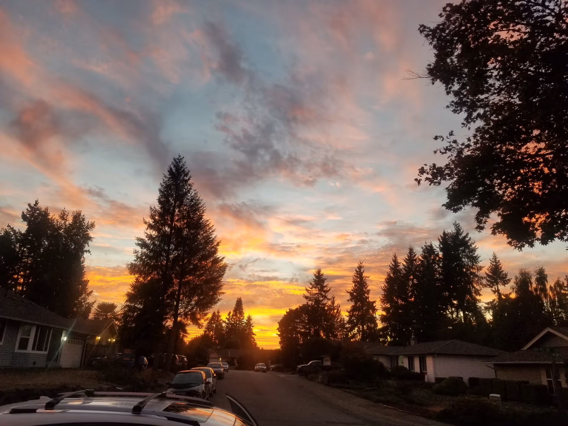 Sunset over a quiet residential street lined with tall trees and parked cars.