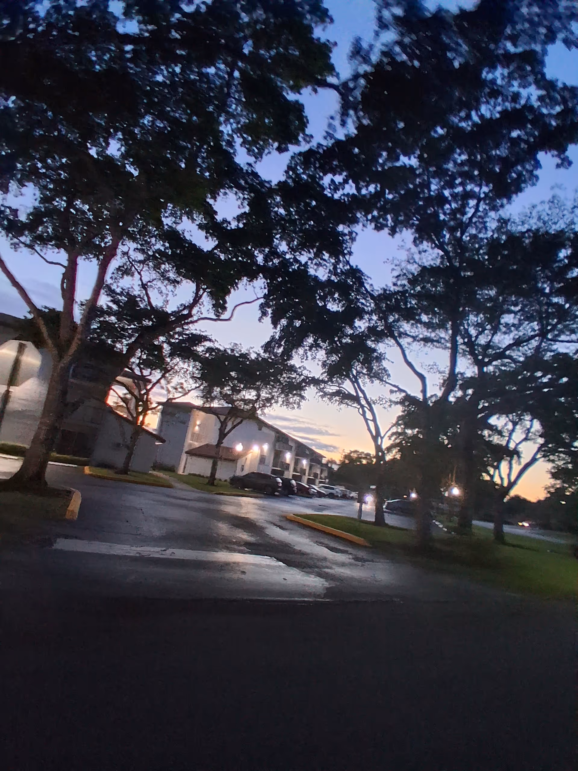 Exterior view of BrowardALF facility with trees, parking, and dusk sky.