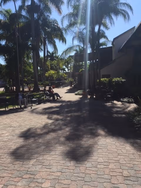 Sunny outdoor courtyard with palm trees, benches, and a few people seated along a paved walkway.