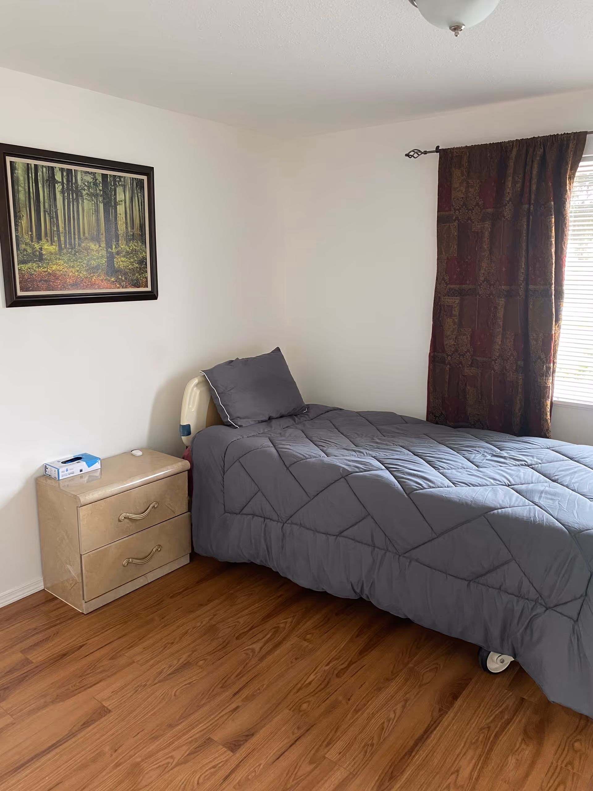 A simple bedroom with a bed, nightstand, framed forest picture, and window curtain.