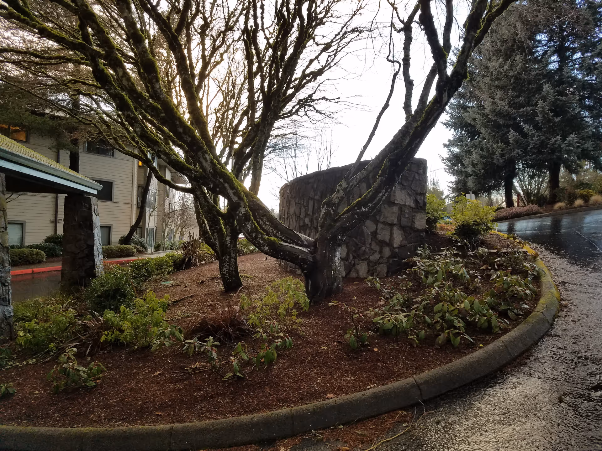 Outdoor landscaped area with a curved stone wall, trees, and a building in the background.