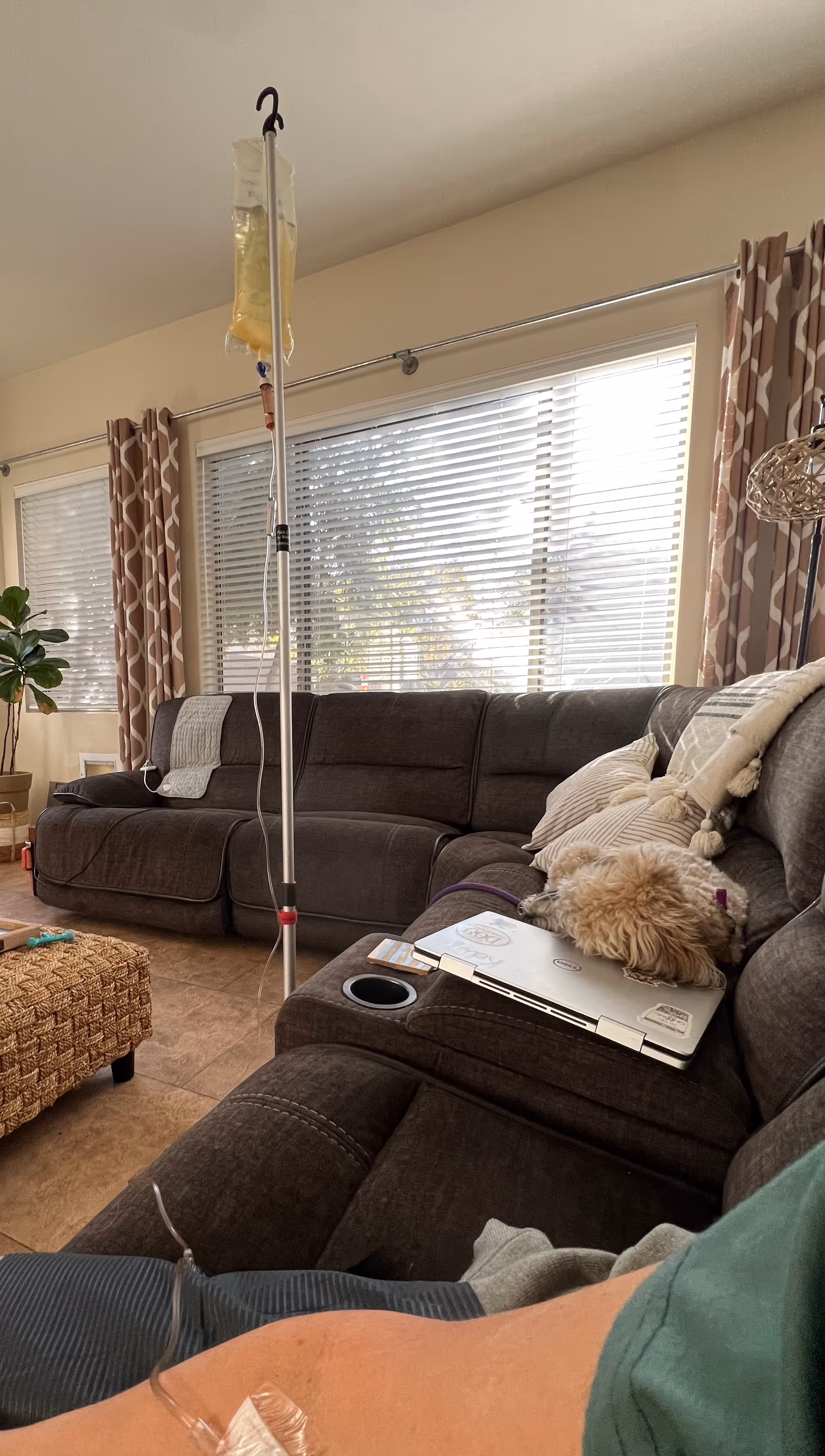 Cozy living room with a gray sectional, IV pole, laptop, and a dog resting.