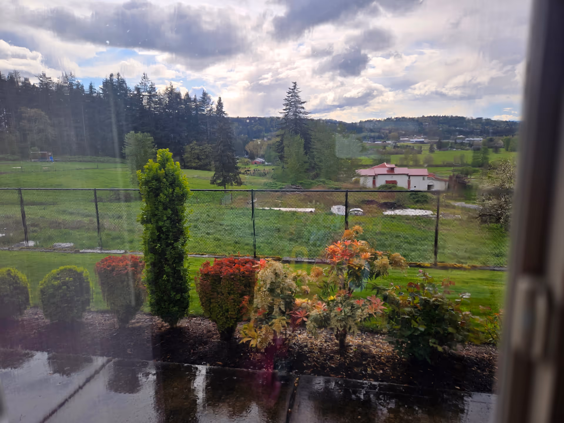 Window view of a rural landscape with a fence, trees, and colorful shrubs.