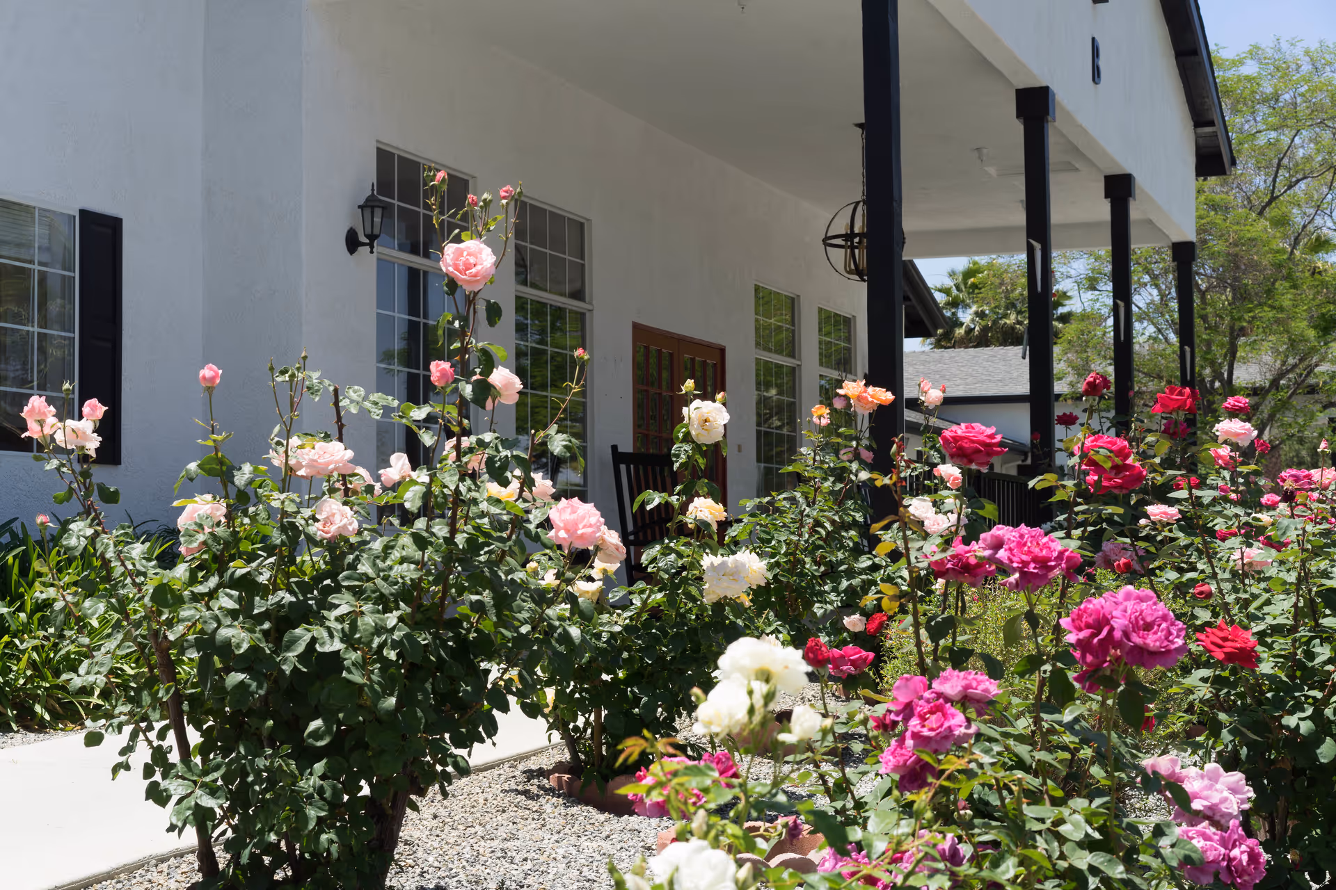 White senior living building exterior with a covered porch and colorful blooming roses.
