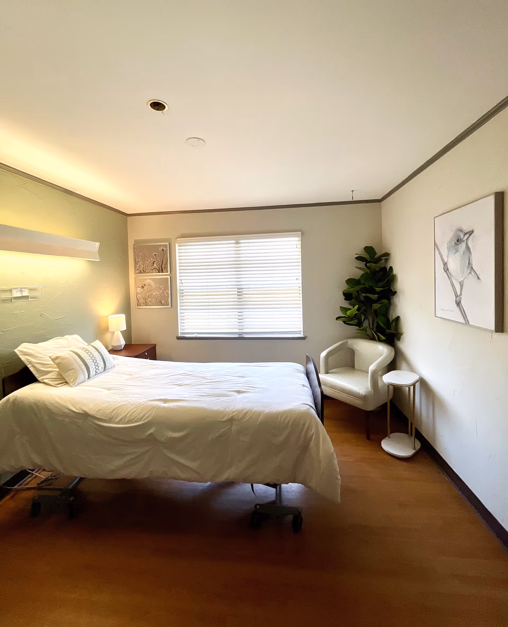 A well-lit senior living bedroom with a bed, chair, nightstand, and plant.