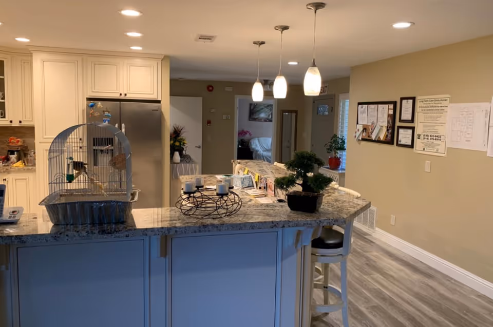 Interior view of a senior living facility kitchen and common area with a granite countertop island featuring a birdcage with a bird, candle holder, and a small potted plant. The kitchen has white cabinets and a stainless steel refrigerator. In the background, there is a hallway leading to other rooms, a bulletin board with notices on the wall, and a chair at the island. The floor is wood-style laminate, and pendant lights hang above the island.