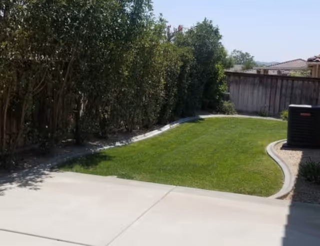Outdoor area with green lawn, tall hedges, concrete path, and an exterior unit