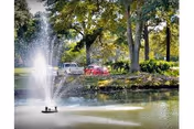 Sunlit outdoor pond with fountain and trees, cars in background.