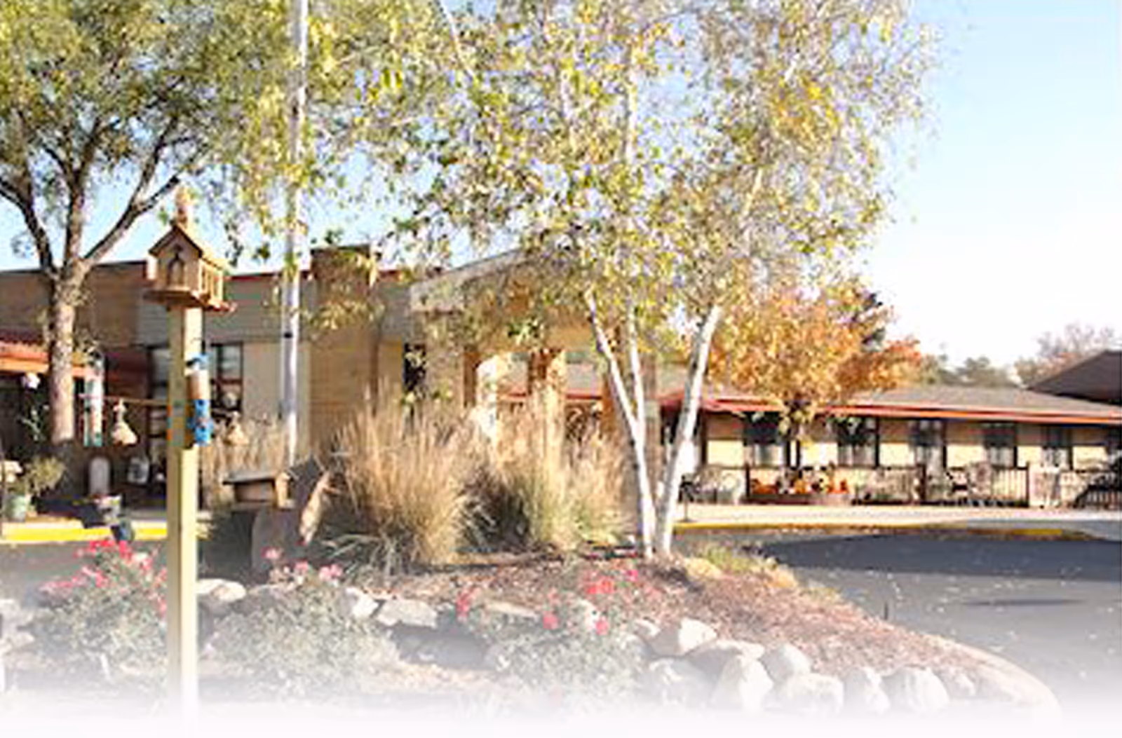 Exterior view of Lake Ridge Care Center of Buffalo with trees and landscaping.