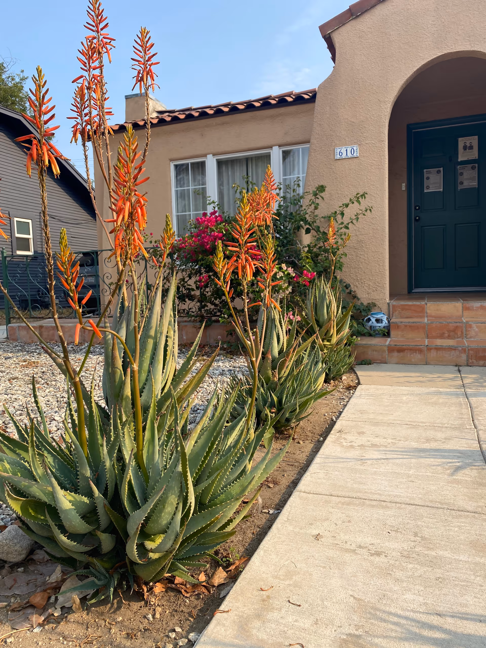 Front entrance of a Dryden Gardens building with desert landscaping and flowers.
