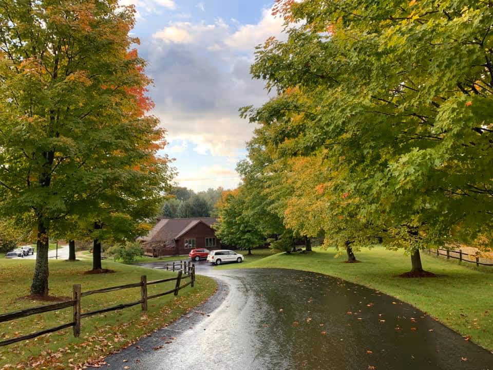 Curved wet driveway lined with trees leading to a single-story brown building with parked cars on a grassy lawn.