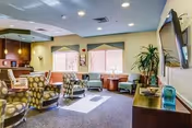 Bright senior living lounge with varied seating, plants, windows, and a wall-mounted TV.