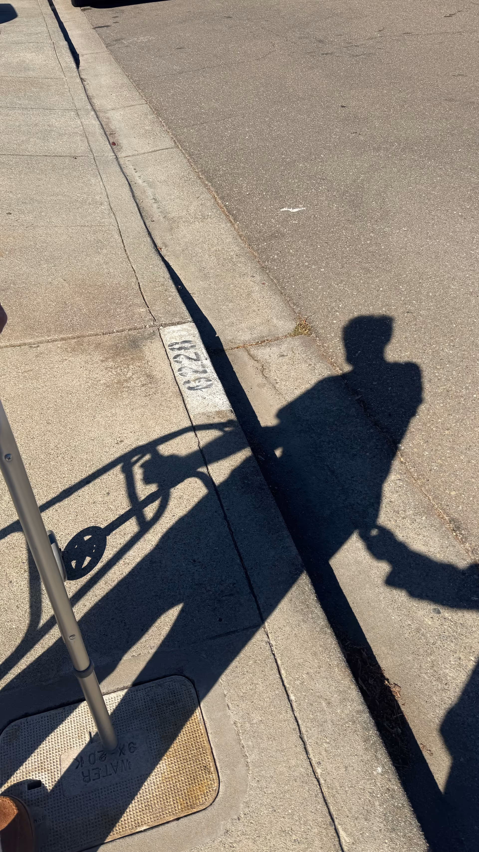 Sidewalk and street curb with shadows; no people visible.